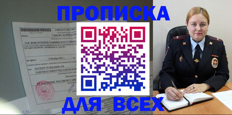 прописка поиск в Вельске